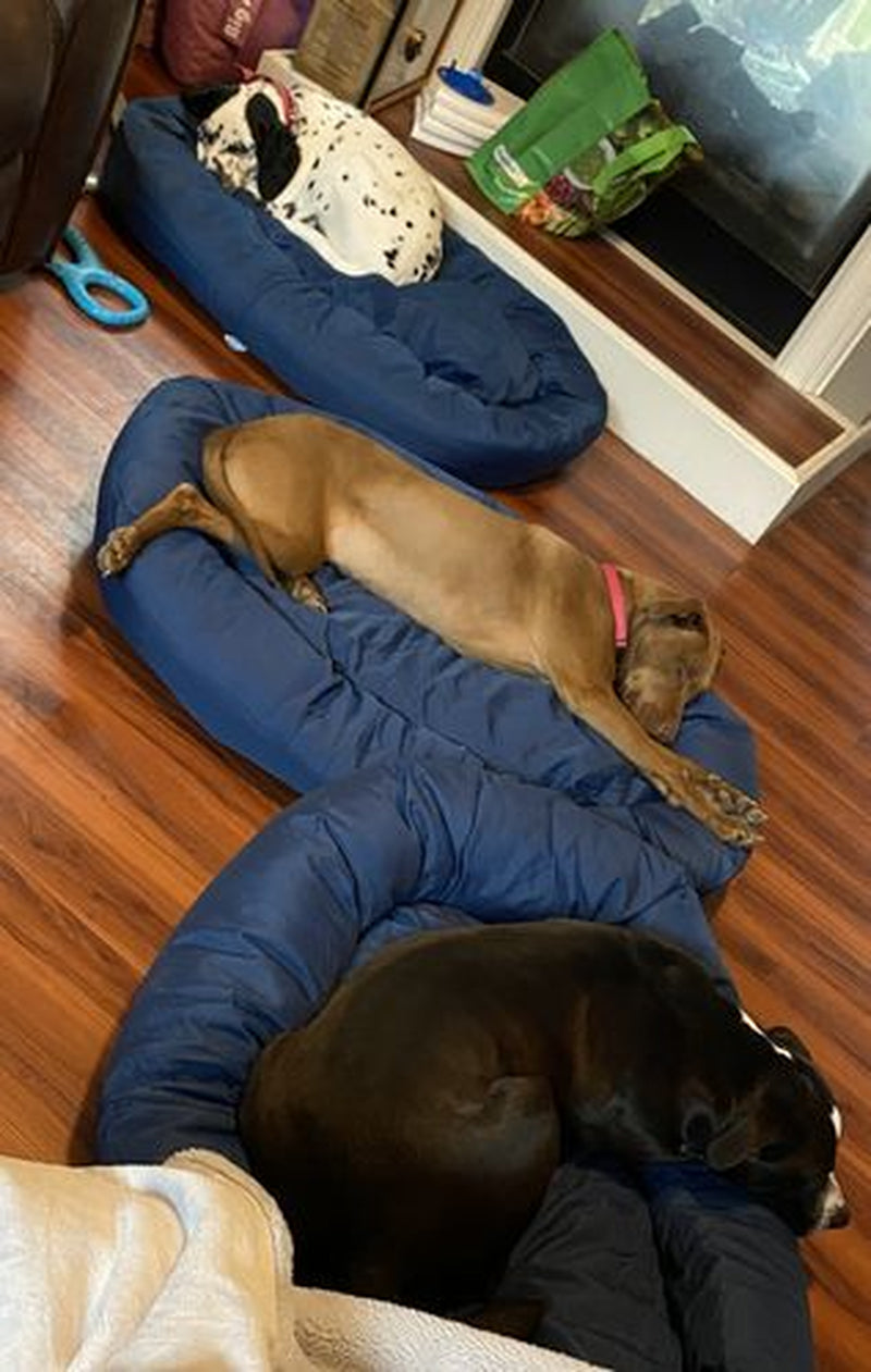 Cozypaws Orthopedic Dog Bed - the Original Reversable Dog Bed