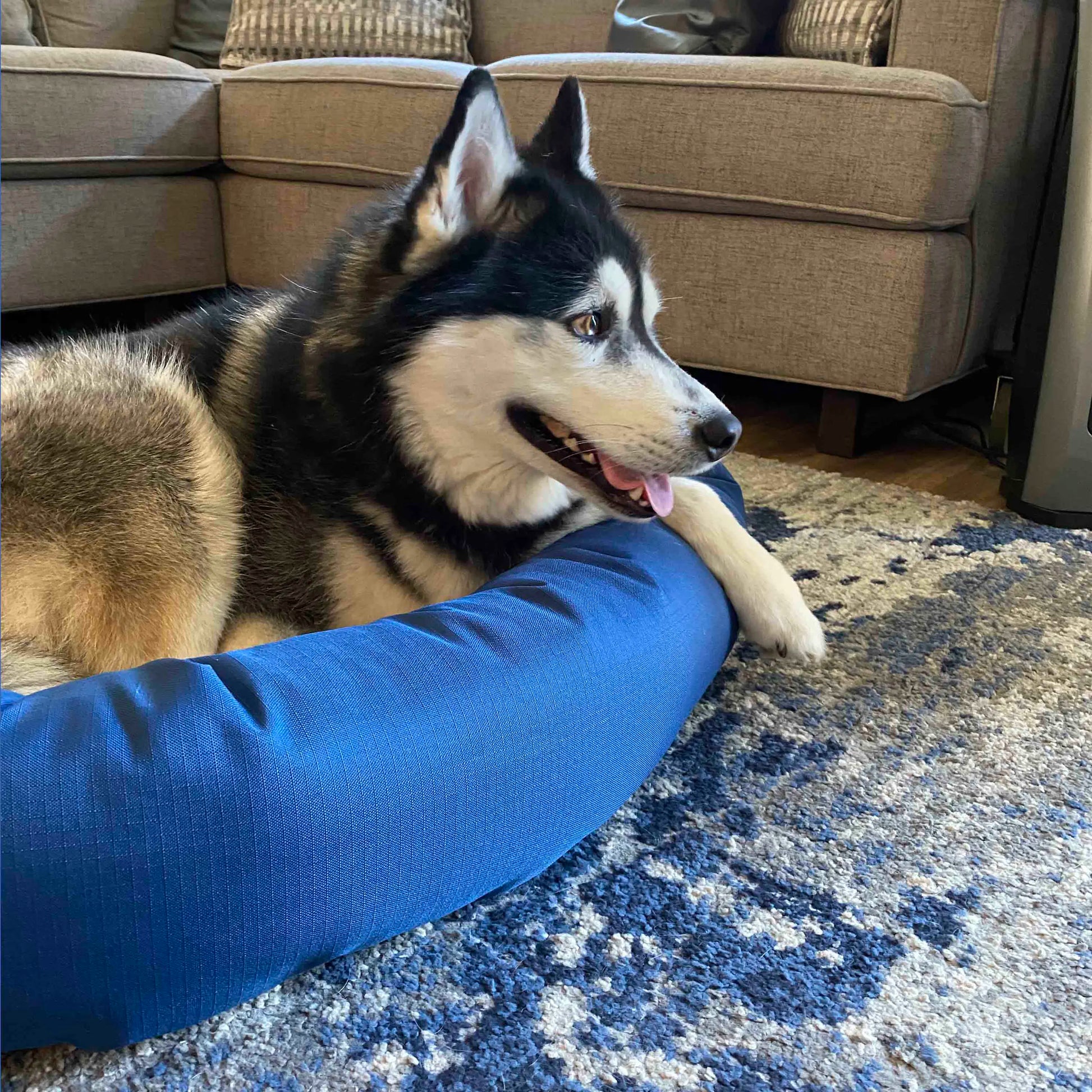 Cozypaws Orthopedic Dog Bed - the Original Reversable Dog Bed