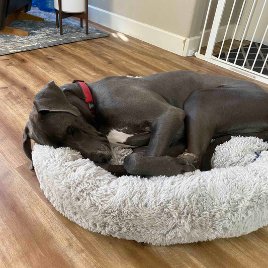 Cozypaws Orthopedic Dog Bed - the Original Reversable Dog Bed
